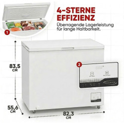 PKM GT300E Congélateur/Capacité 299 litres / 41 dB/Double mode : réfrigérateur et congélation/Avec panier métallique supplémenta