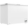 PKM GT300E Congélateur/Capacité 299 litres / 41 dB/Double mode : réfrigérateur et congélation/Avec panier métallique supplémenta