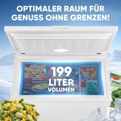 PKM GT300E Congélateur/Capacité 299 litres / 41 dB/Double mode : réfrigérateur et congélation/Avec panier métallique supplémenta