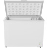 PYRAMIDEA Congélateur Convertible en Coffre Capacité 200 Litres bruts Classe Énergétique E, Couleur Blanc CNG204