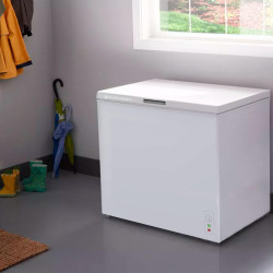 PYRAMIDEA Congélateur Convertible en Coffre Capacité 200 Litres bruts Classe Énergétique E, Couleur Blanc CNG204