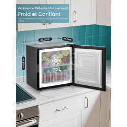 FOHERE 32L Mini Congélateur, Porte Réversible, Pieds Réglables en Hauteur, Économie d'Énergie et Silencieux, pratique dans le Bu