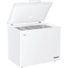 Congélateur Coffre 111cm 300l - HCE301E