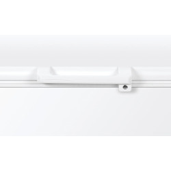 Congélateur Coffre 111cm 300l - HCE301E