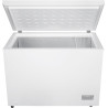 Congélateur coffre BEKO CF316EWN