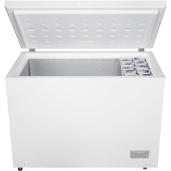 Congélateur coffre BEKO CF316EWN