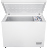 Congélateur coffre BEKO CF316EWN