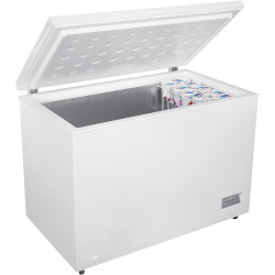 Congélateur coffre BEKO CF316EWN