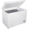 Congélateur coffre BEKO CF316EWN