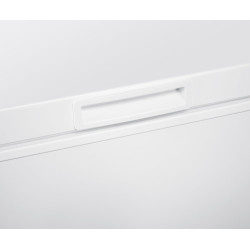 Congélateur coffre BEKO CF316EWN
