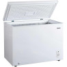 Congélateur Coffre Blanc CCO300BE 290L