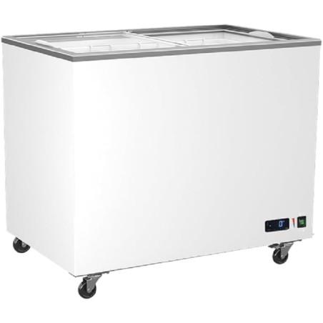 Congélateur Vitrées Portes Coulissantes - 208 à 582 Litres - Virtus