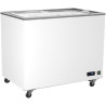 Congélateur Vitrées Portes Coulissantes - 208 à 582 Litres - Virtus