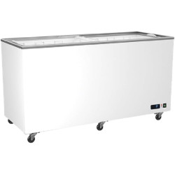 Congélateur Vitrées Portes Coulissantes - 208 à 582 Litres - Virtus