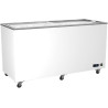 Congélateur Vitrées Portes Coulissantes - 208 à 582 Litres - Virtus