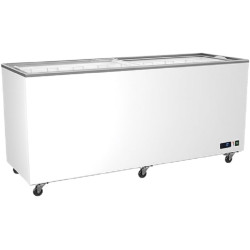 Congélateur Vitrées Portes Coulissantes - 208 à 582 Litres - Virtus