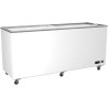 Congélateur Vitrées Portes Coulissantes - 208 à 582 Litres - Virtus