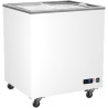 Congélateur Vitrées Portes Coulissantes - 208 à 582 Litres - Virtus