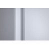 METRO Professional Congélateur GFR6600, aluminium, 77,5 x 72 x 193 cm, 380 L, froid ventilé, 480 W, GN 1/1, avec serrure, blanc