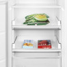 Schneider SCCA274NF-DXE - Congélateur armoire 274L Dark Inox