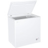 CONGLATEUR COFFRE 198L CLASSE E