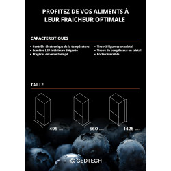 Gedtech réfrigérateur combiné congélateur bas 173l gcb173sl - argent - hauteur 143cm
