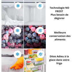 GEDTECH Réfrigérateur simple 359L GSP359NFDX - No Frost - Dark Inox