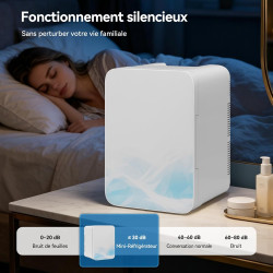 YOURLITE Mini Frigo de Chambre 20L,Mini Réfrigérateur Portable,Fonction Chaud Froid,Silencieux,Étagères Réglables,AC/DC,12V 240V
