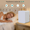 YOURLITE Mini Frigo de Chambre 20L,Mini Réfrigérateur Portable,Fonction Chaud Froid,Silencieux,Étagères Réglables,AC/DC,12V 240V