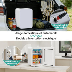 YOURLITE Mini Frigo de Chambre 20L,Mini Réfrigérateur Portable,Fonction Chaud Froid,Silencieux,Étagères Réglables,AC/DC,12V 240V