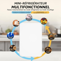 YOURLITE Mini Frigo de Chambre 10L,Mini Réfrigérateur Portable,Fonction Chaud Froid,Silencieux,Étagères Réglables,AC/DC,12V 240V
