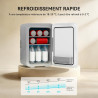YOURLITE Mini Frigo de Chambre 10L,Mini Réfrigérateur Portable,Fonction Chaud Froid,Silencieux,Étagères Réglables,AC/DC,12V 240V