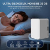 YOURLITE Mini Frigo de Chambre 10L,Mini Réfrigérateur Portable,Fonction Chaud Froid,Silencieux,Étagères Réglables,AC/DC,12V 240V