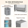 YOURLITE Mini Frigo de Chambre 10L,Mini Réfrigérateur Portable,Fonction Chaud Froid,Silencieux,Étagères Réglables,AC/DC,12V 240V