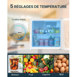 Upstreman Mini Réfrigérateur 46L, Mini Frigo avec Congélateur, Thermostat Réglable, Économie d'Énergie, Silencieux, Porte Révers