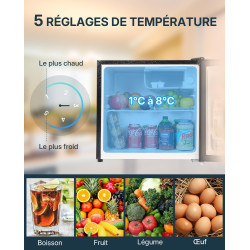 Upstreman Mini Réfrigérateur 46L, Mini Frigo avec Congélateur, Thermostat Réglable, Économie d'Énergie, Silencieux, Porte Révers