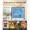 Upstreman Mini Réfrigérateur 46L, Mini Frigo avec Congélateur, Thermostat Réglable, Économie d'Énergie, Silencieux, Porte Révers