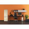 GEDTECH Refrigerateur combiné vintage GCBV310CR - Congélateur bas - Crème - Capacité 310 L - Faible conso