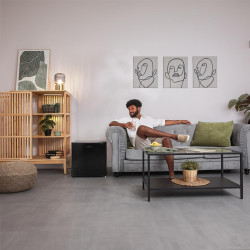 Cecotec réfrigérateur mini bar thermoélectrique de 44l bolero coolmarket bc sd 47 noir. hauteur 51,5 cm et largeur 43 cm, basse 