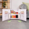 Cecotec mini réfrigérateur grandcooler 20000 l silentcompress blanc e. capacité 46l, porte personnalisable, classe énergétique e