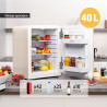 TZS First Austria - Mini Réfrigérateur Rétro 40L silencieux - Petit Minifrigo design vintage avec lumière intérieure et 2 compar