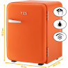 TZS First Austria - Mini Réfrigérateur Rétro 40L silencieux - Petit Minifrigo design vintage avec lumière intérieure et 2 compar
