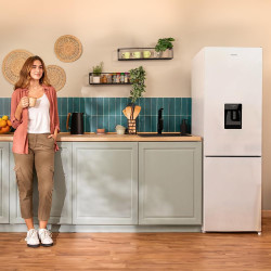 Cecotec réfrigérateur combiné bolero coolmarket combi 250 wd blanc glass d. inverter plus, no frost, multi airflow. distributeur