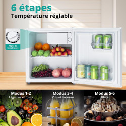 SMETA Petit Frigo 46L, Mini Frigo Silencieux 220V, Mini Réfrigérateur avec Thermostat Réglable, Porte Réversible, pour Chambre, 