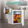 SMETA Petit Frigo 46L, Mini Frigo Silencieux 220V, Mini Réfrigérateur avec Thermostat Réglable, Porte Réversible, pour Chambre, 