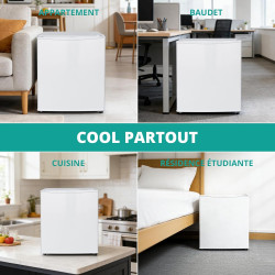 SMETA Petit Frigo 46L, Mini Frigo Silencieux 220V, Mini Réfrigérateur avec Thermostat Réglable, Porte Réversible, pour Chambre, 