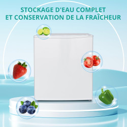 SMETA Petit Frigo 46L, Mini Frigo Silencieux 220V, Mini Réfrigérateur avec Thermostat Réglable, Porte Réversible, pour Chambre, 