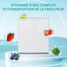 SMETA Petit Frigo 46L, Mini Frigo Silencieux 220V, Mini Réfrigérateur avec Thermostat Réglable, Porte Réversible, pour Chambre, 