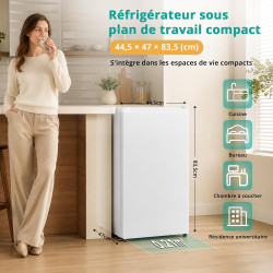 SMETA Mini Réfrigérateur, 91L, avec Micro-Congélateur 11L, Silencieux 40dB, Thermostat Réglable, Porte Réversible, Mini Frigo po