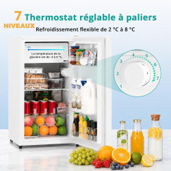 SMETA Mini Réfrigérateur, 91L, avec Micro-Congélateur 11L, Silencieux 40dB, Thermostat Réglable, Porte Réversible, Mini Frigo po